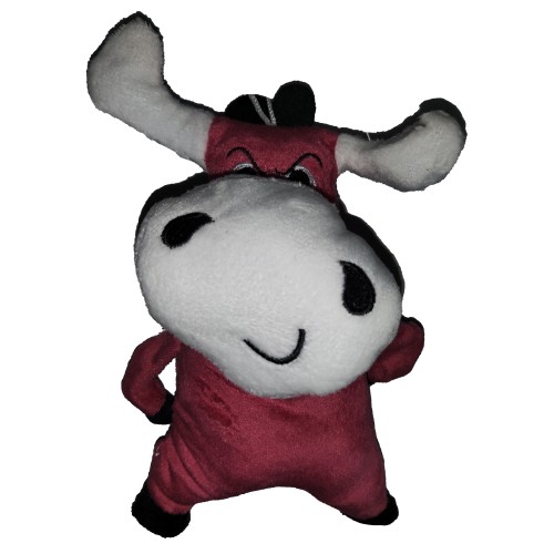 Bull